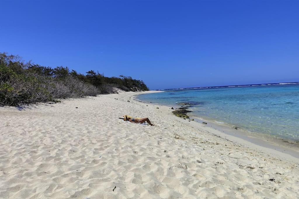 Des Amis Sur La Plage.